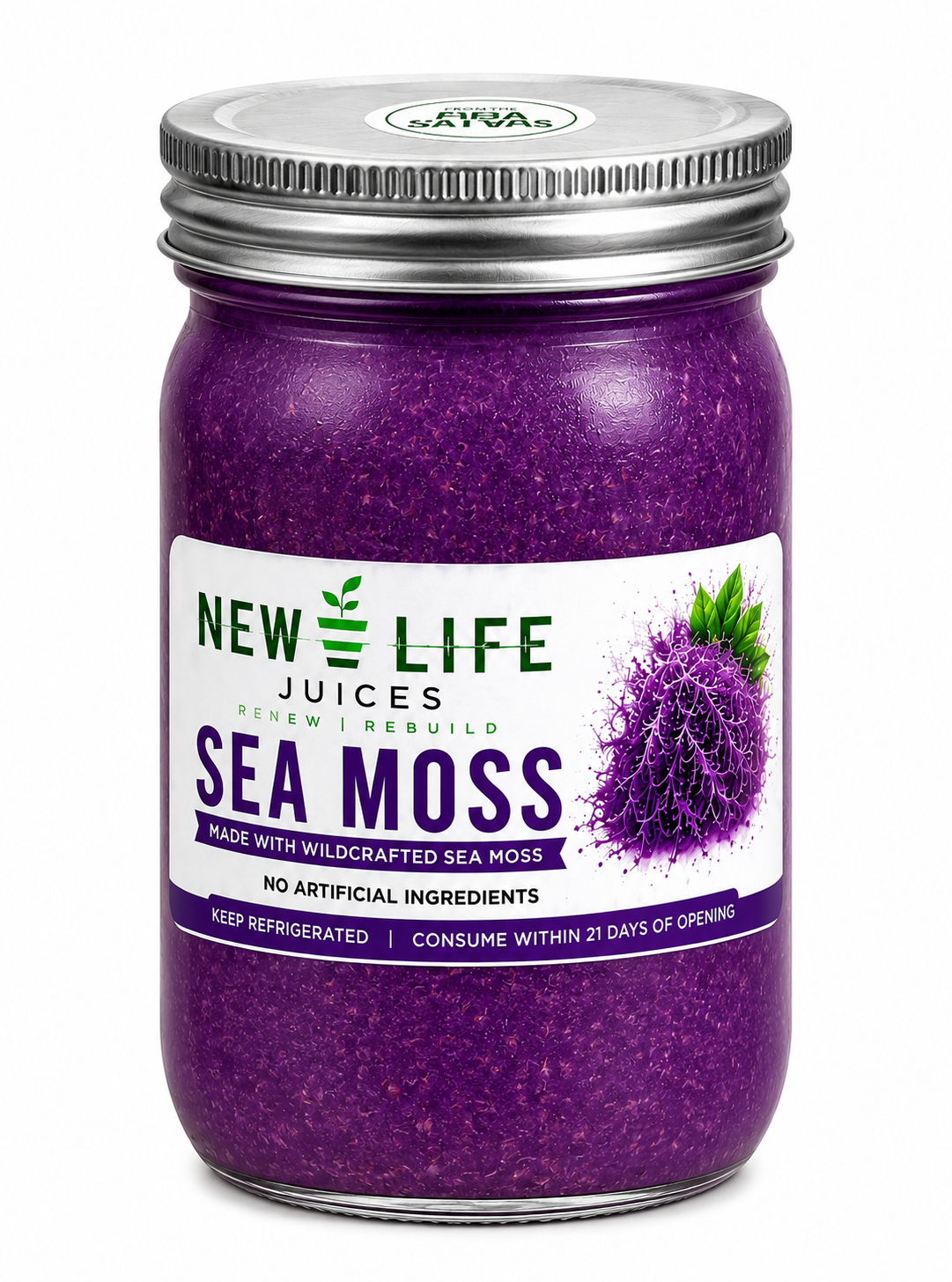 Purple Sea Moss